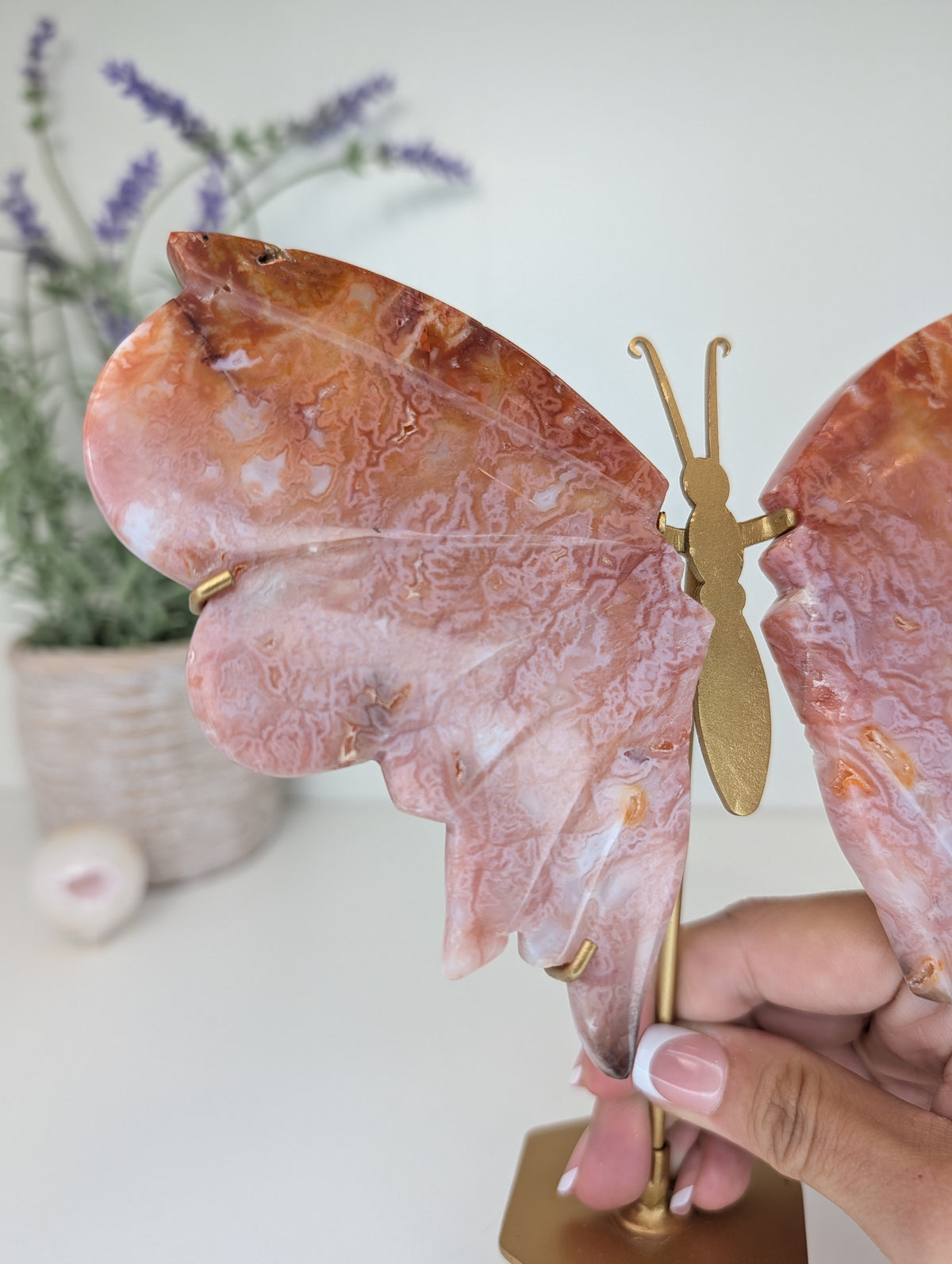 Indonesian Carnelian Butterfly Wings on Custom Gold Stand