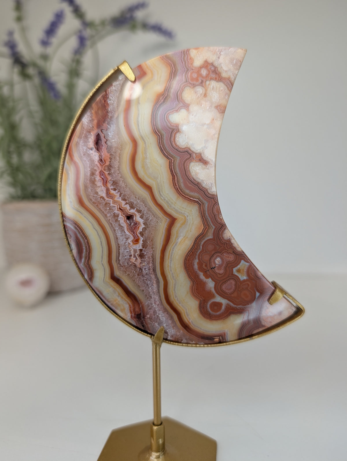 Pink Crazy Lace Moon on Custom Gold Stands from Indonesia