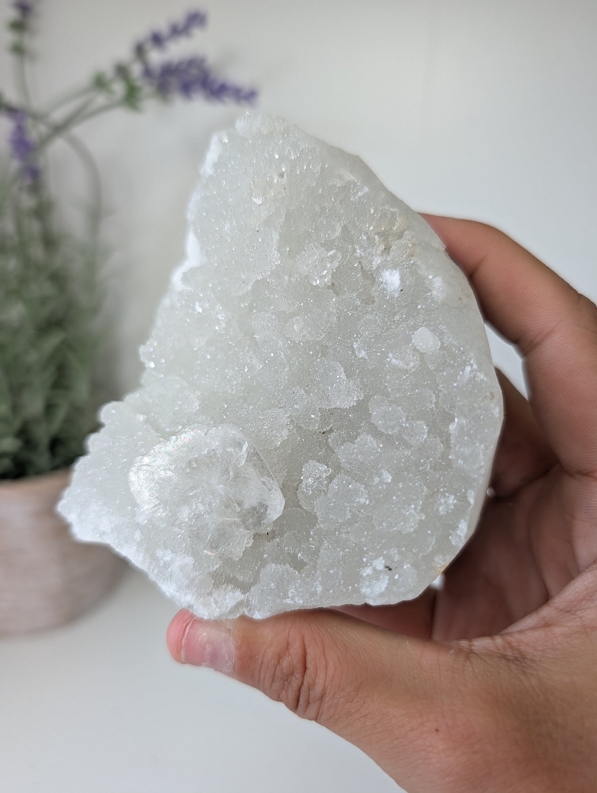 Sugary Apophyllite on Prehnite from India