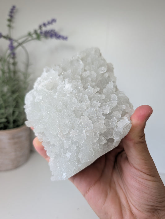 Sugary Apophyllite on Prehnite from India