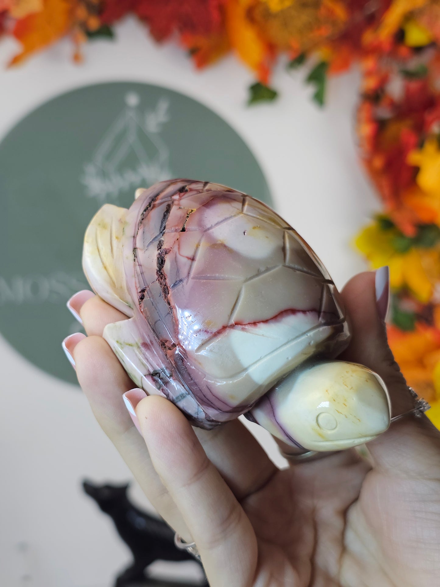 Mookaite Turtle - MAS1252