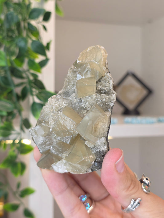 Honey Calcite Cubes on Druzy Sugar Calcite and Stilbite Matrix from Madhya Pradesh, India - R