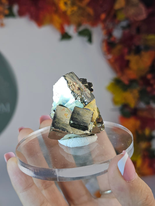 Cubic Pyrite C from the Shang Bao Mine, China - MAS1466