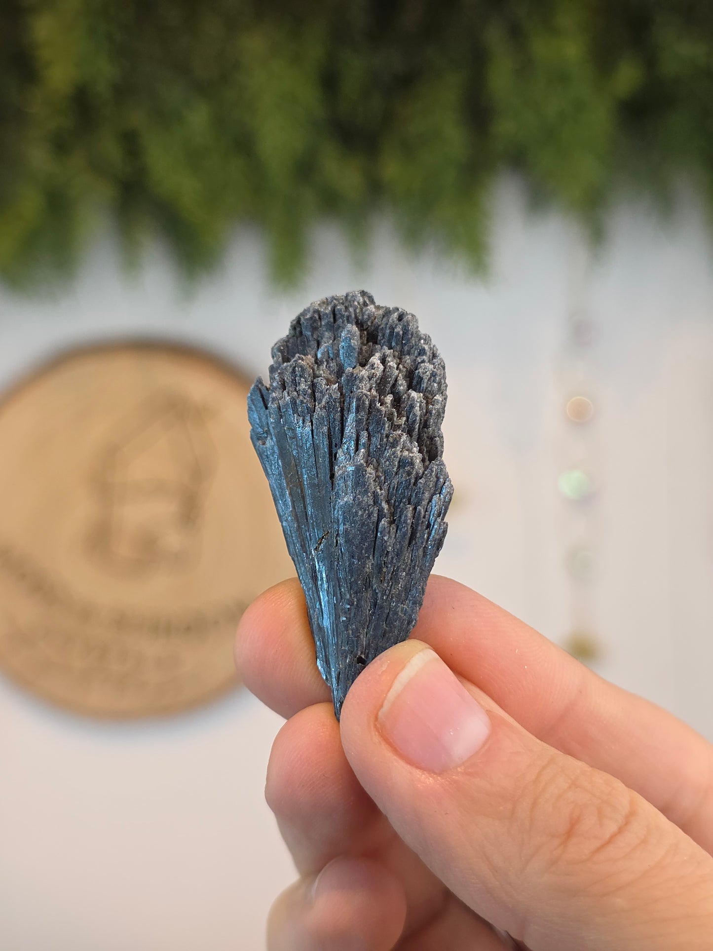Brazilian Black Kyanite