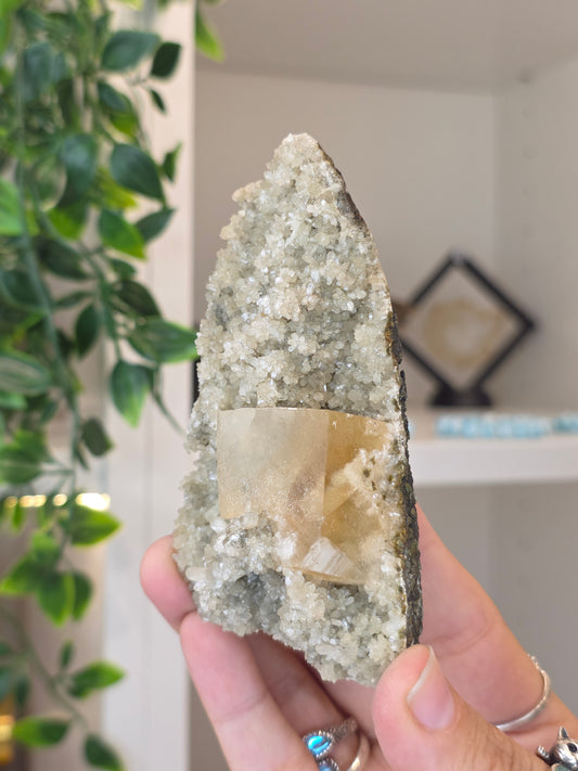 Honey Calcite Cubes on Druzy Sugar Calcite and Stilbite Matrix from Madhya Pradesh, India - O