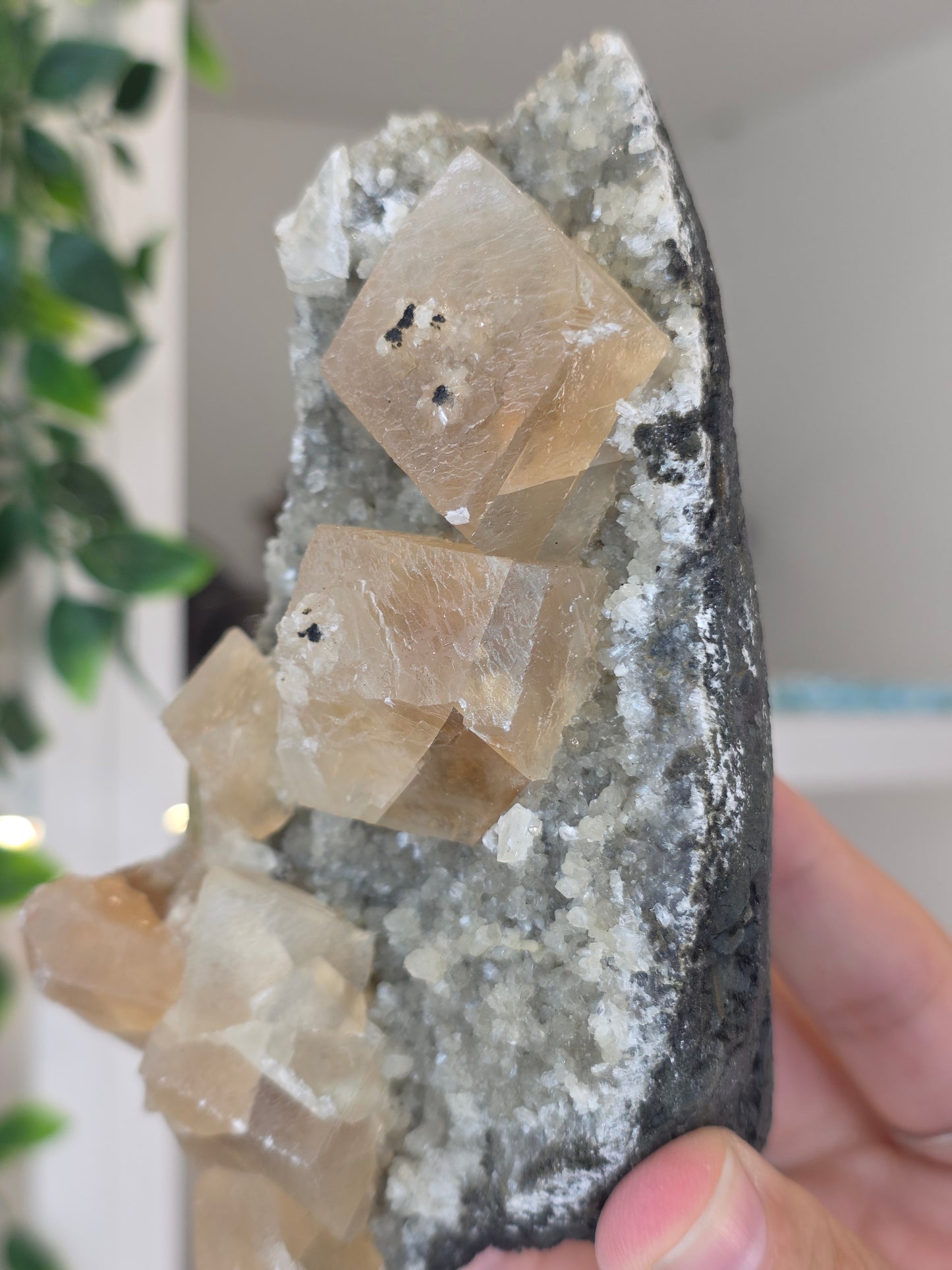 Honey Calcite Cubes on Druzy Sugar Calcite and Stilbite Matrix from Madhya Pradesh, India - AA