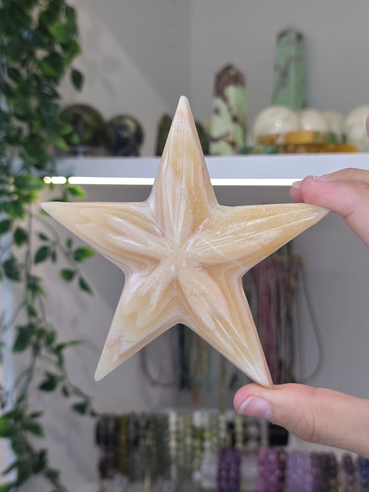 Large Mexican Onyx Starfish - Honey Calcite - B