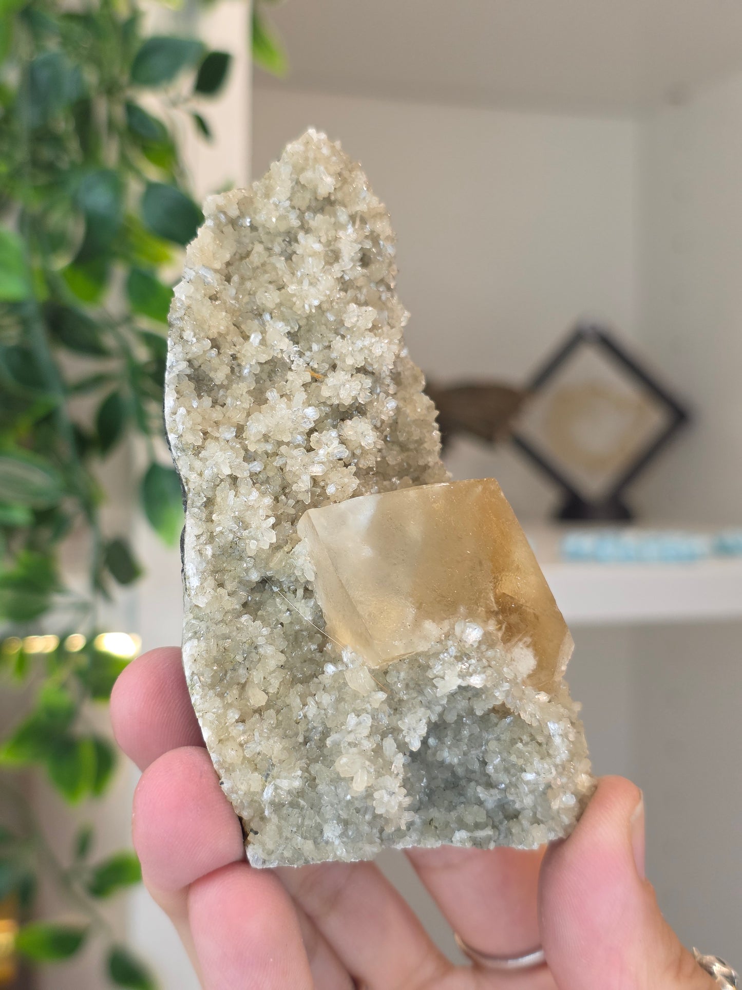 Honey Calcite Cubes on Druzy Sugar Calcite and Stilbite Matrix from Madhya Pradesh, India - O