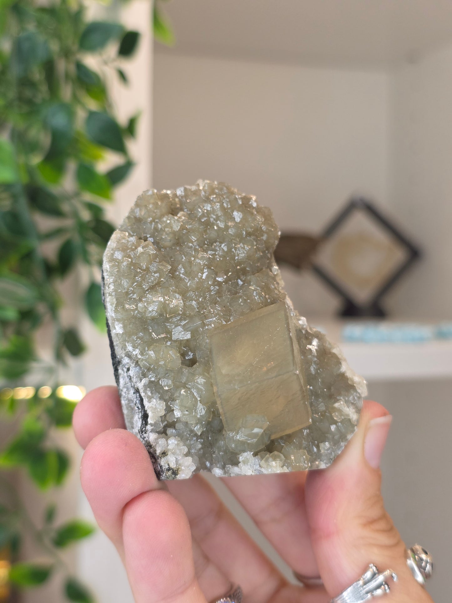Honey Calcite Cubes on Druzy Sugar Calcite and Stilbite Matrix from Madhya Pradesh, India - AE