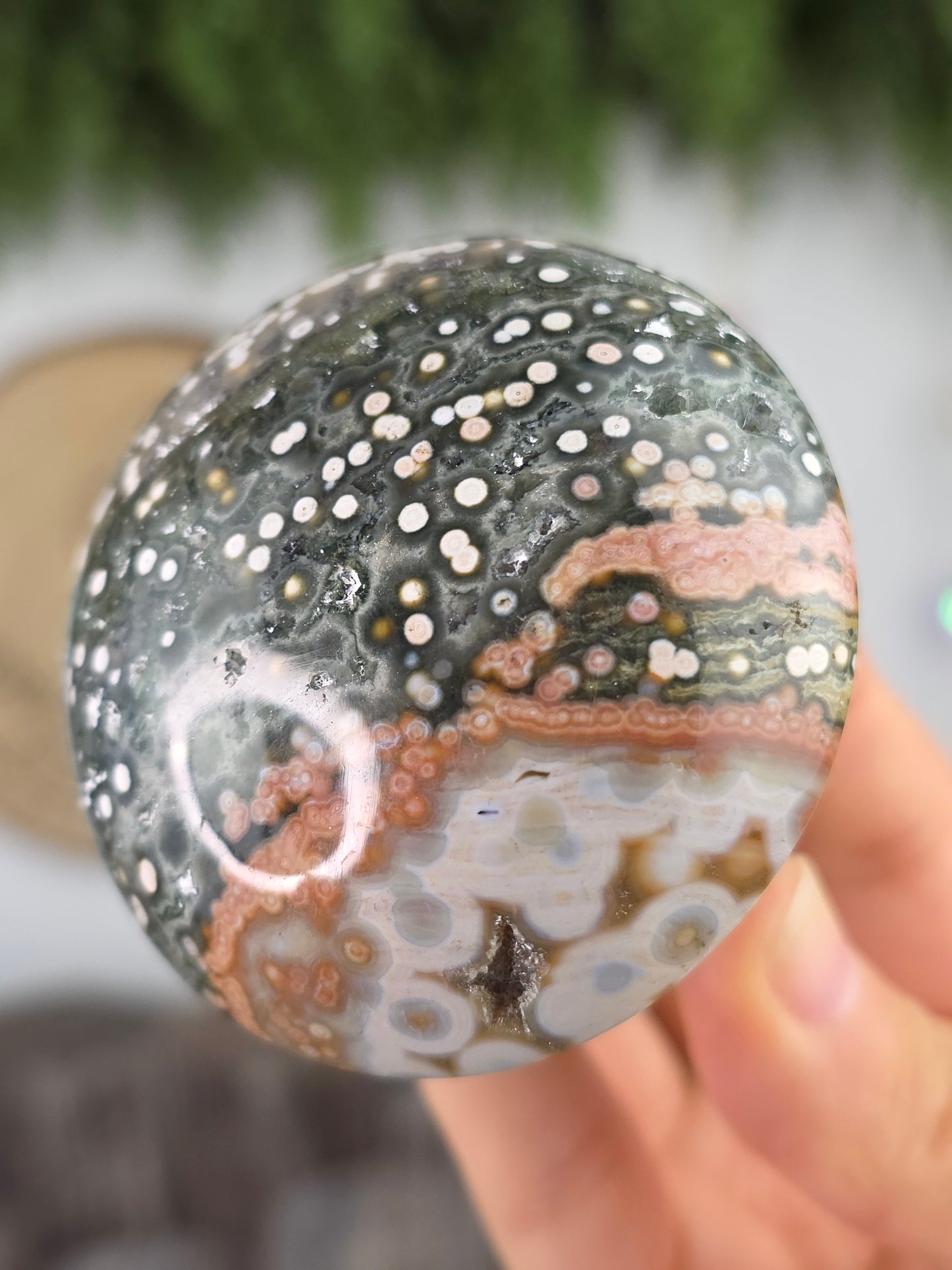 8th Vein Ocean Jasper Mushroom D