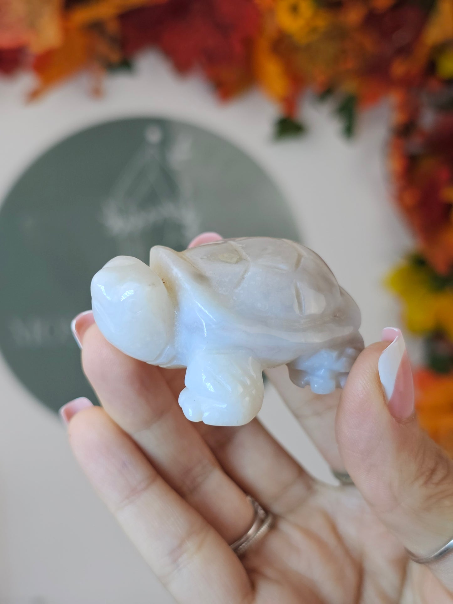 Agate Turtle - MAS2147