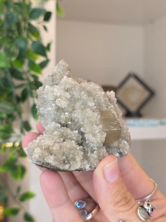 Honey Calcite Cubes on Druzy Sugar Calcite and Stilbite Matrix from Madhya Pradesh, India - L