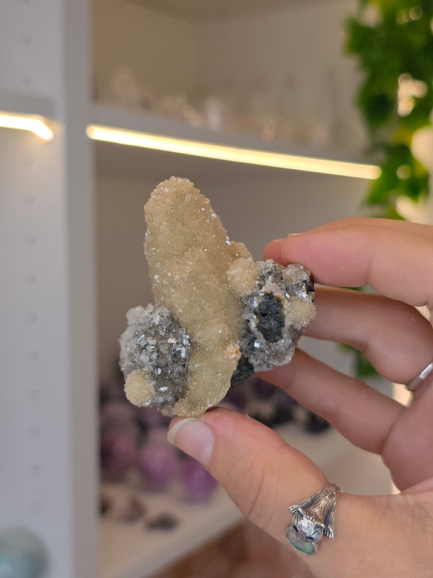 Sugary Dogtooth Calcite with Heulandite and Stilbite from Madhya Pradesh, India - W