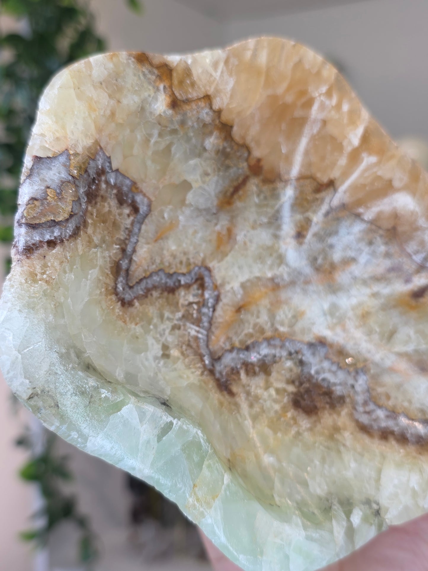 Mexican Onyx Freeform Bowl - Green Honey Calcite - A
