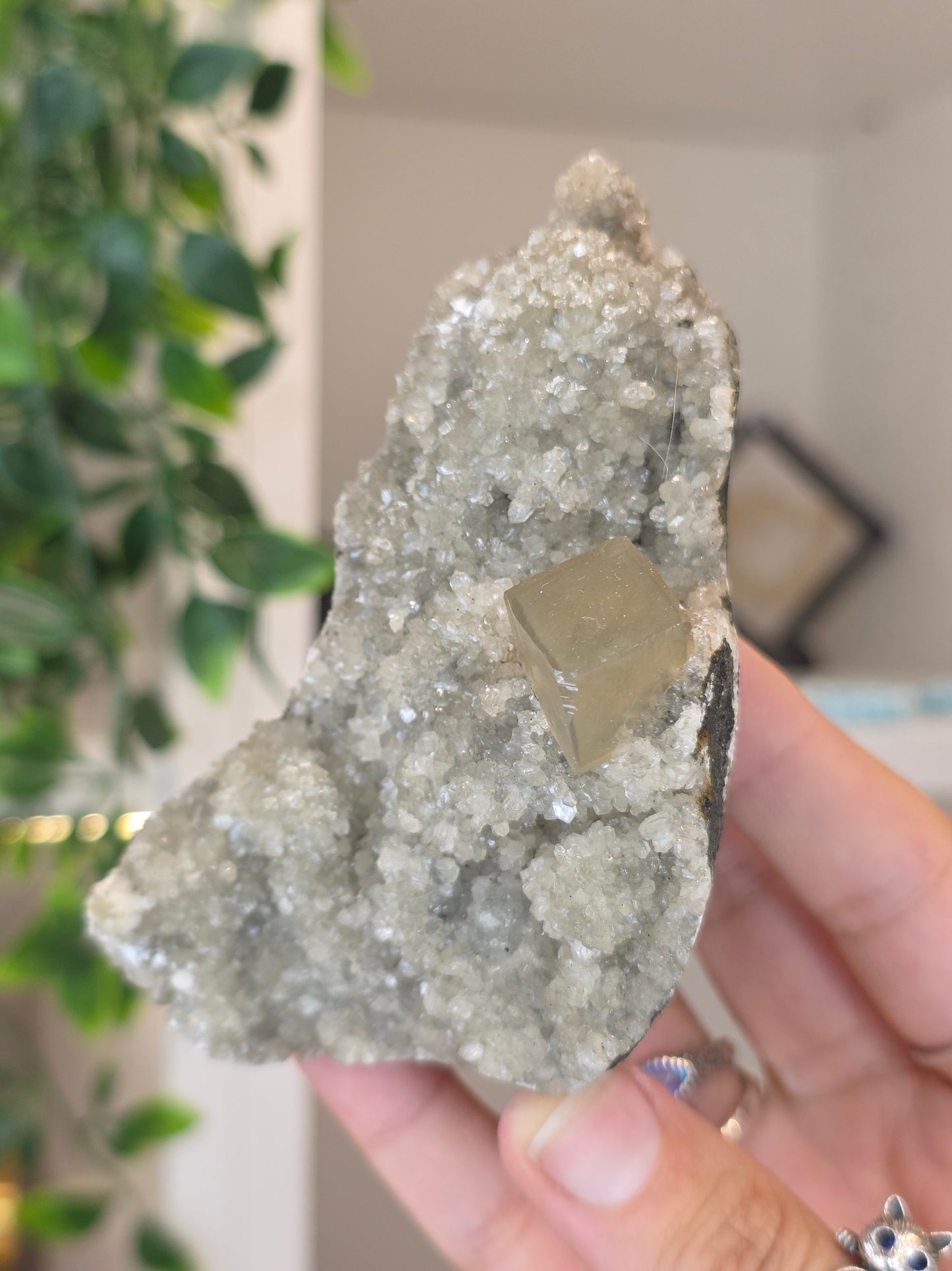Honey Calcite Cubes on Druzy Sugar Calcite and Stilbite Matrix from Madhya Pradesh, India - S