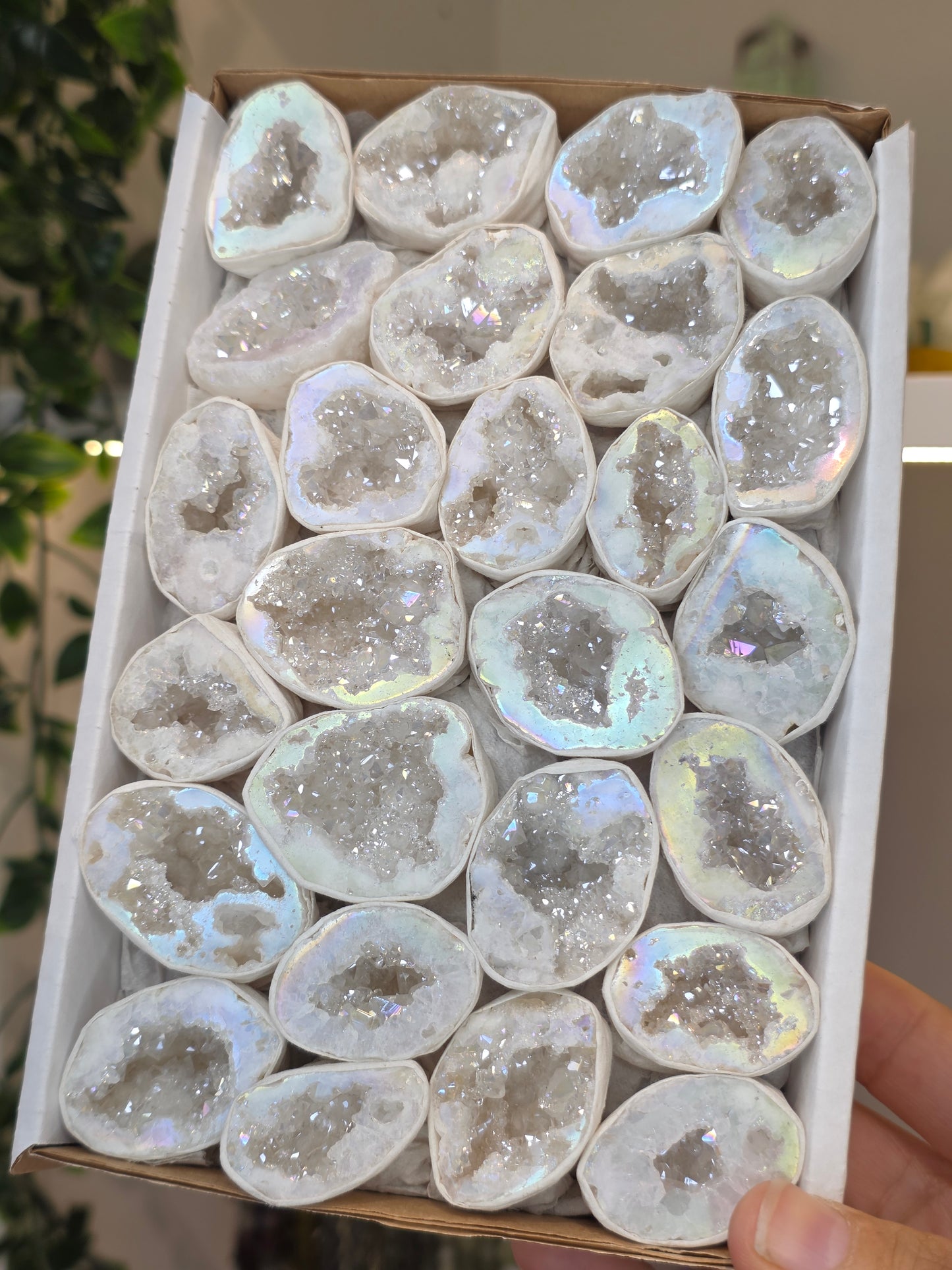 Intuitively Chosen Single Brazilian Aura Coated White Agate Geodes