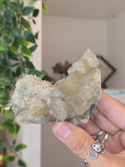 Honey Calcite Cubes on Druzy Sugar Calcite and Stilbite Matrix from Madhya Pradesh, India - M