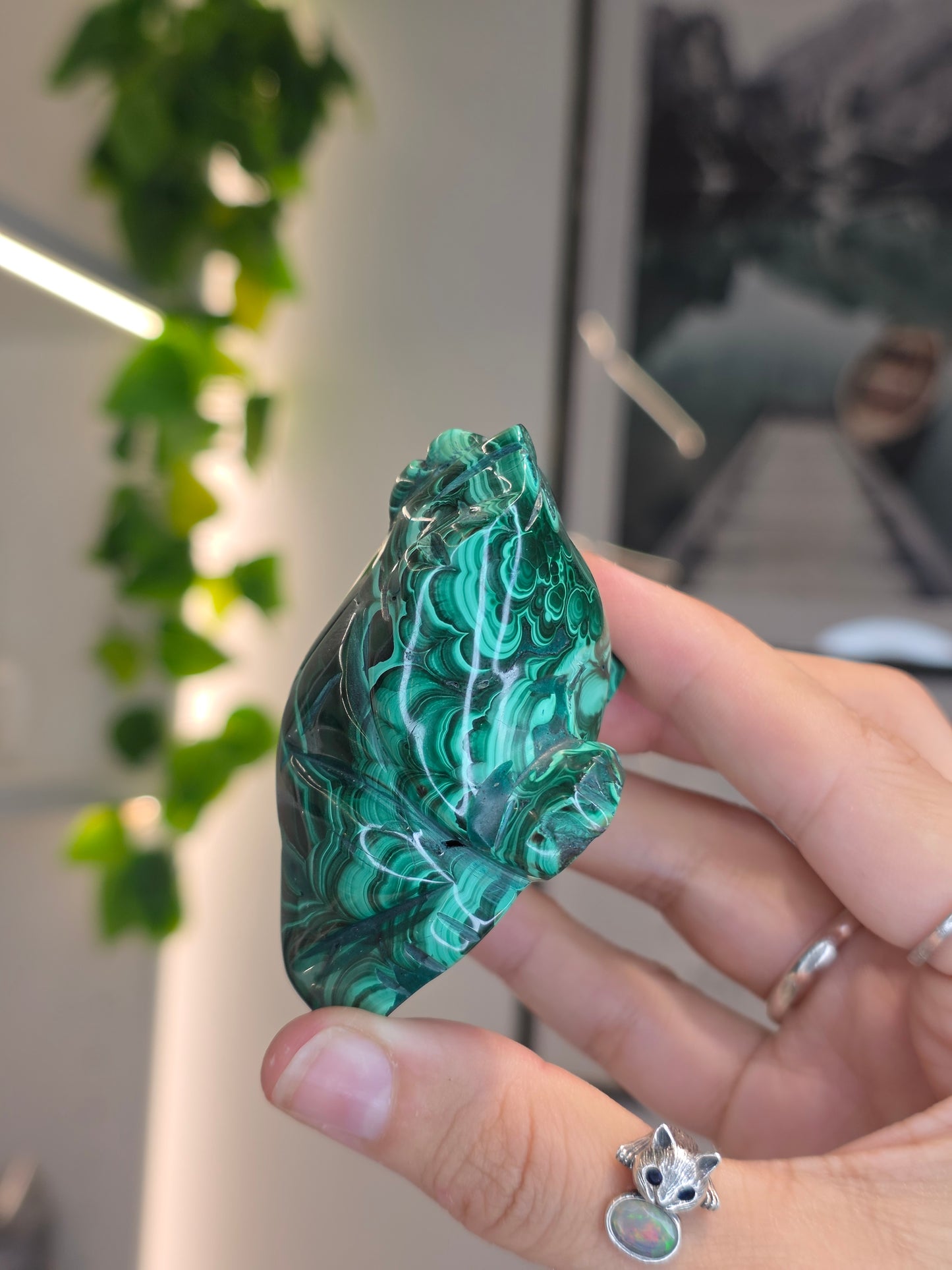 Malachite Frog Carving - H