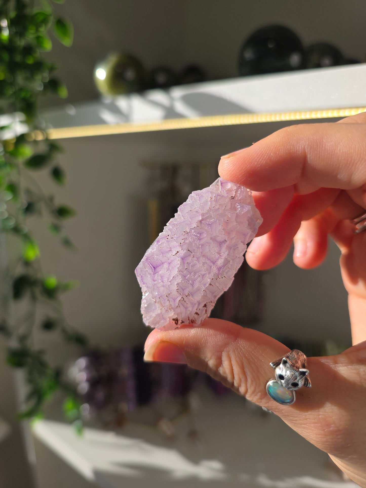 Purple Triangular Fluorite from Weishan, Yunnan Province, China F