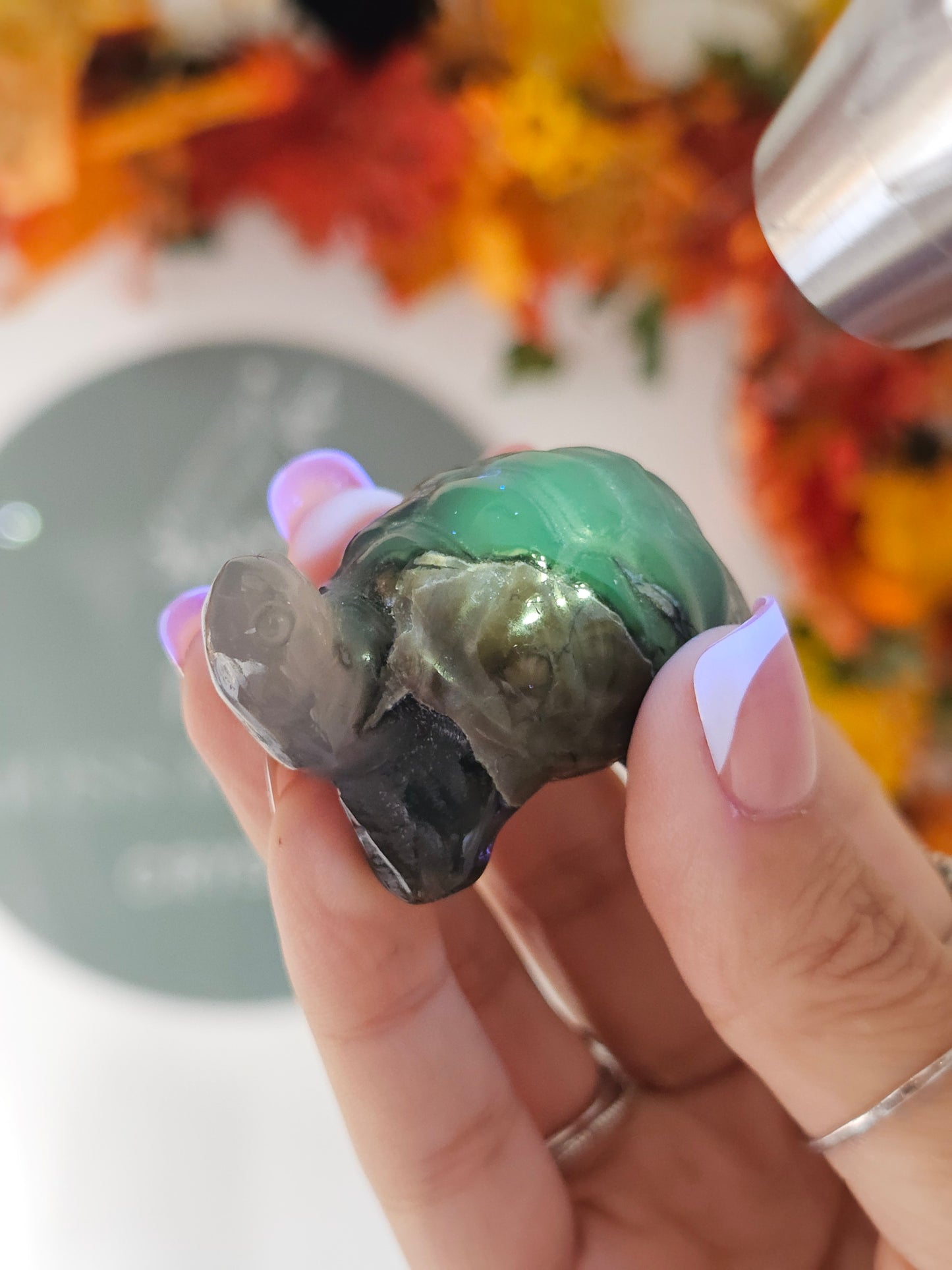 Volcano Agate Turtle - MAS1289