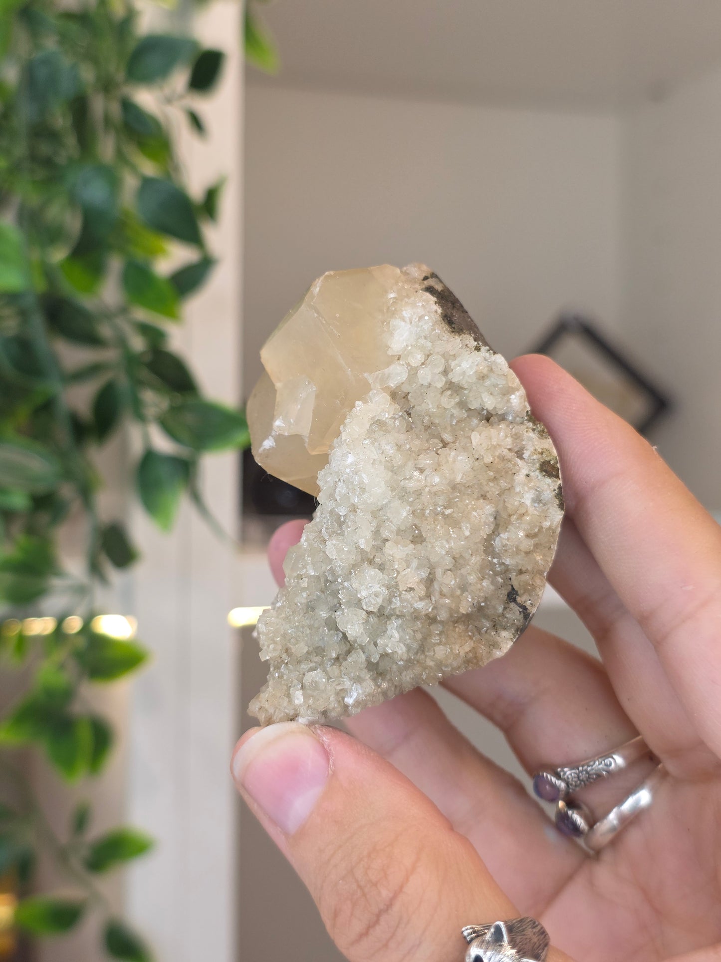 Honey Calcite Cubes on Druzy Sugar Calcite and Stilbite Matrix from Madhya Pradesh, India - H