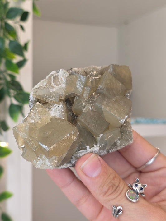 Honey Calcite Cubes on Druzy Sugar Calcite and Stilbite Matrix from Madhya Pradesh, India - W