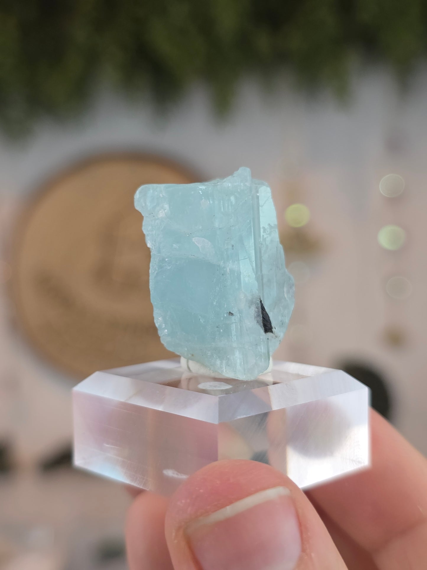 Aquamarine with Black Tourmaline from Pakistan