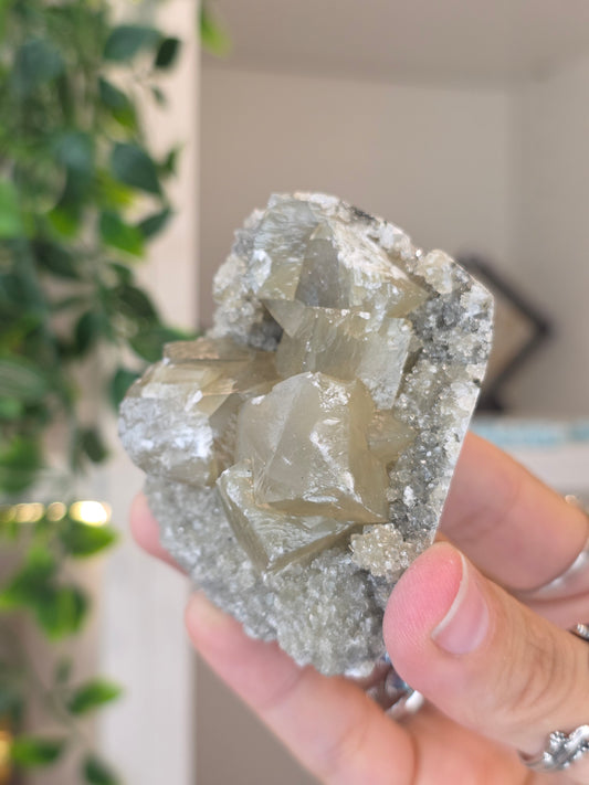 Honey Calcite Cubes on Druzy Sugar Calcite and Stilbite Matrix from Madhya Pradesh, India - Q