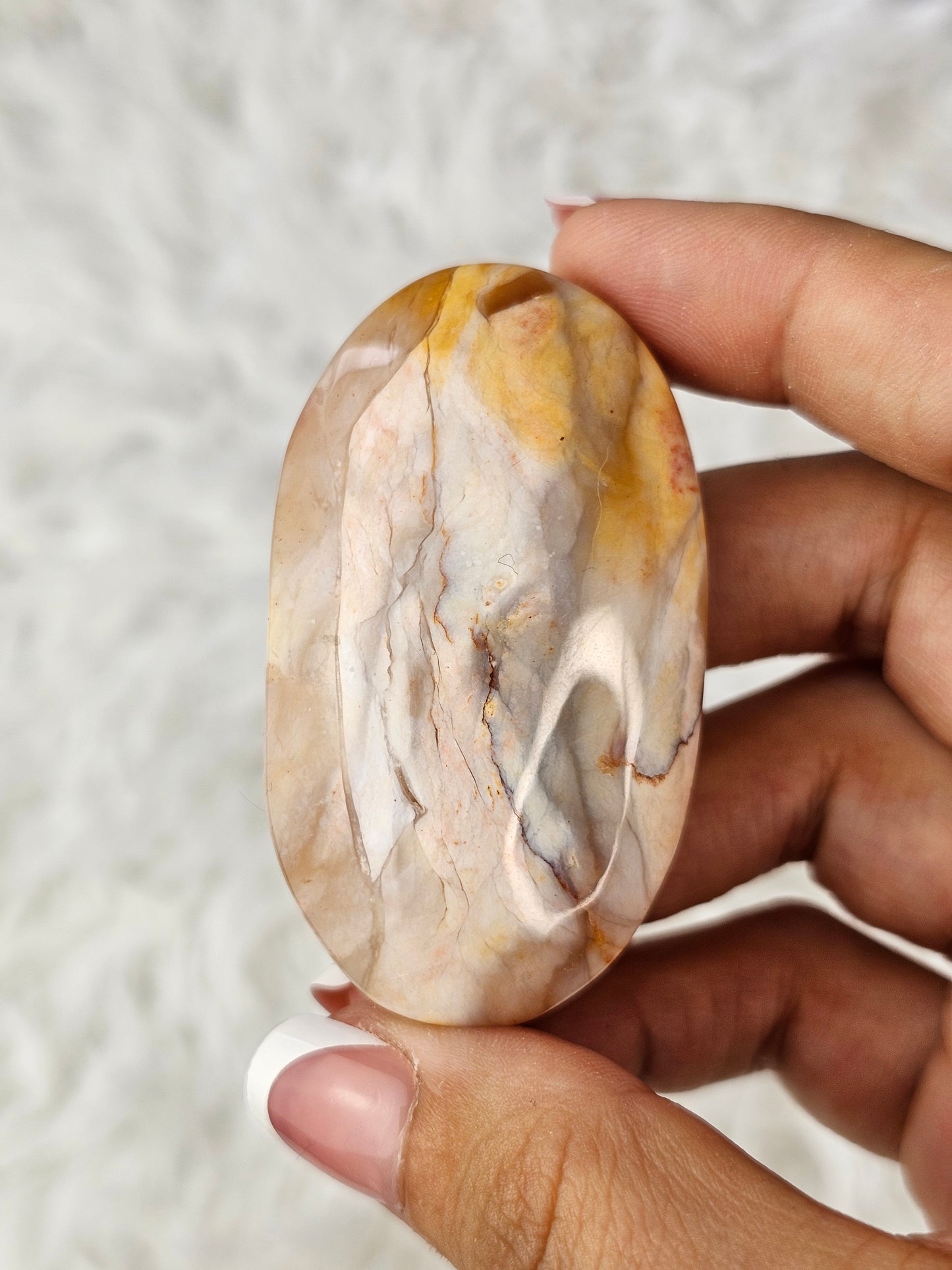 Petrified Wood Palm Stone - MAS0778