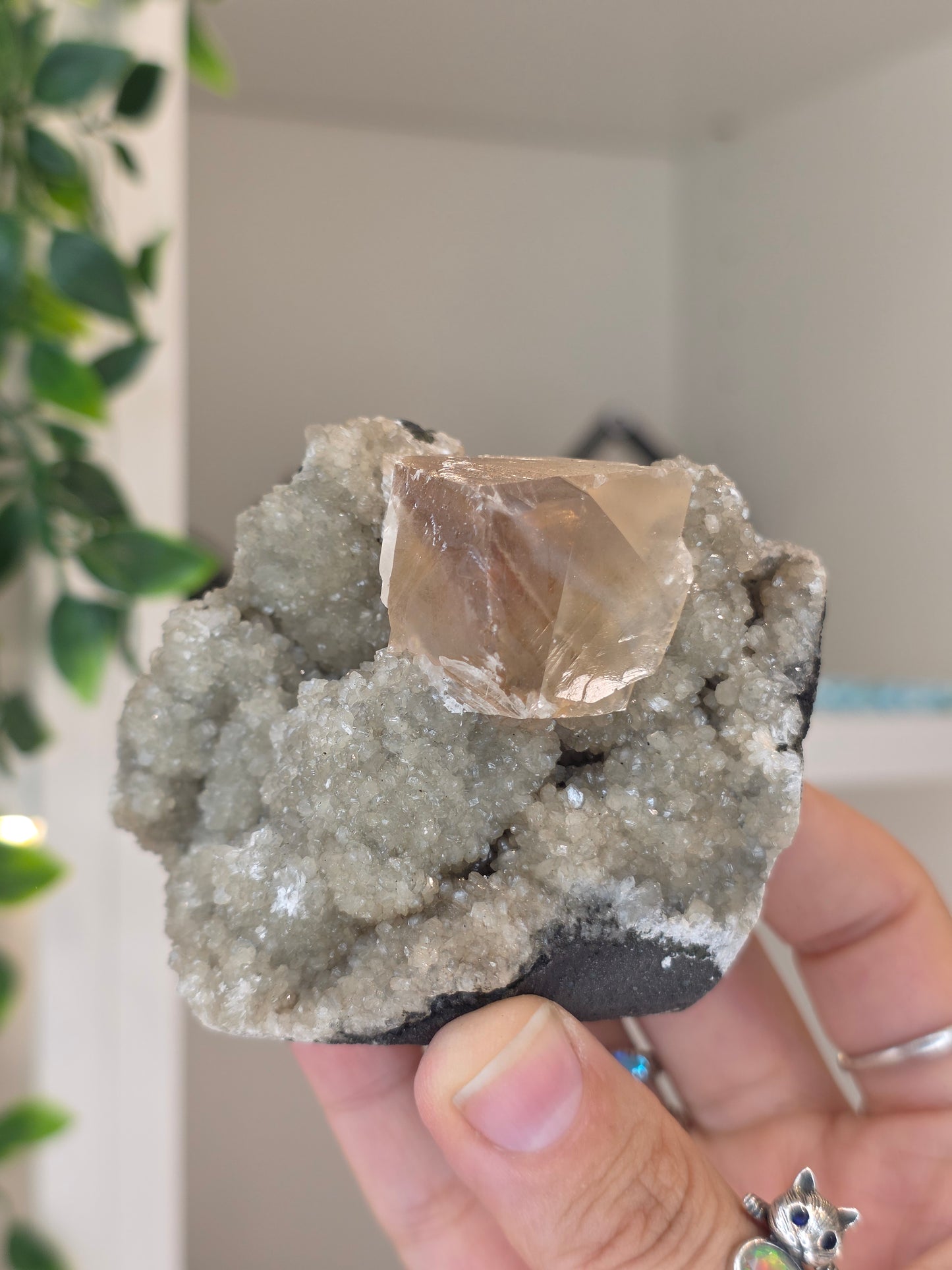 Honey Calcite Cubes on Druzy Sugar Calcite and Stilbite Matrix from Madhya Pradesh, India - X
