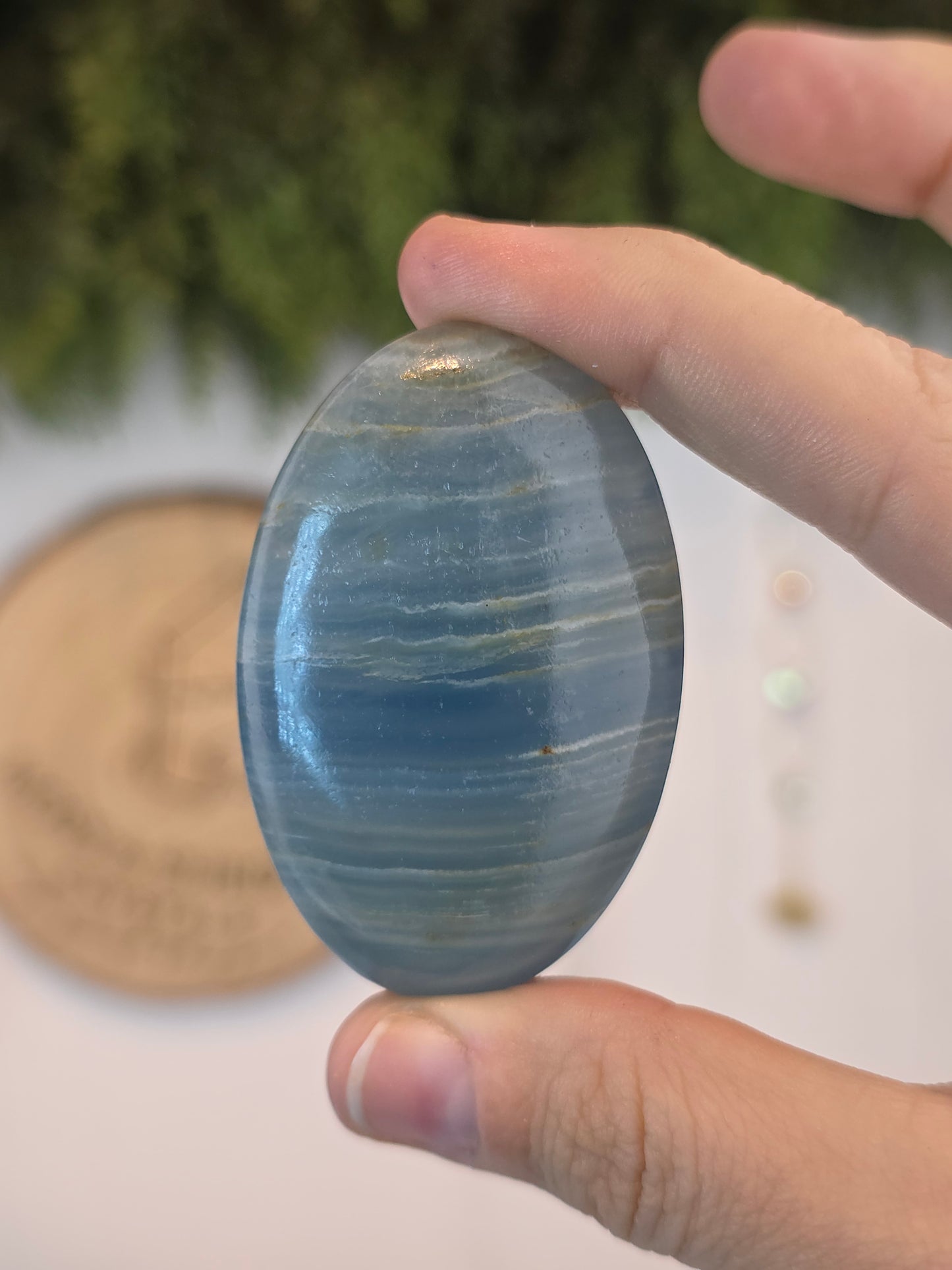 Blue Onyx Palms