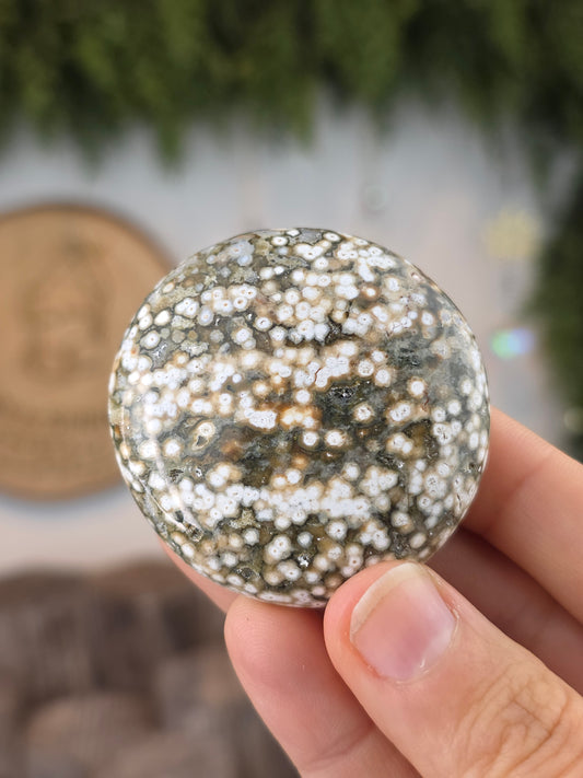 8th Vein Ocean Jasper Palm Stones