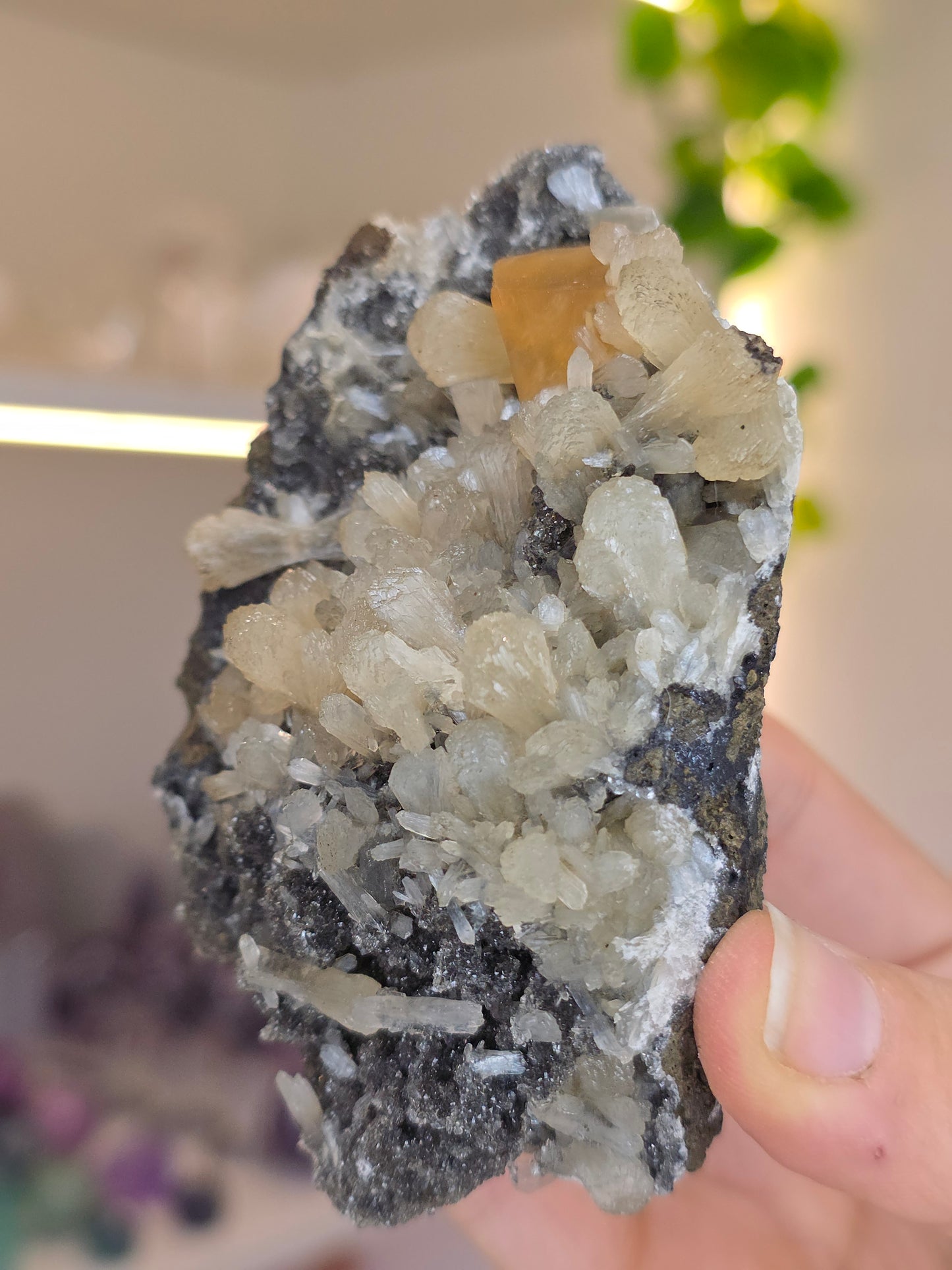Honey Calcite on Black Chalcedony with Stilbite (R) from Madhya Pradesh India
