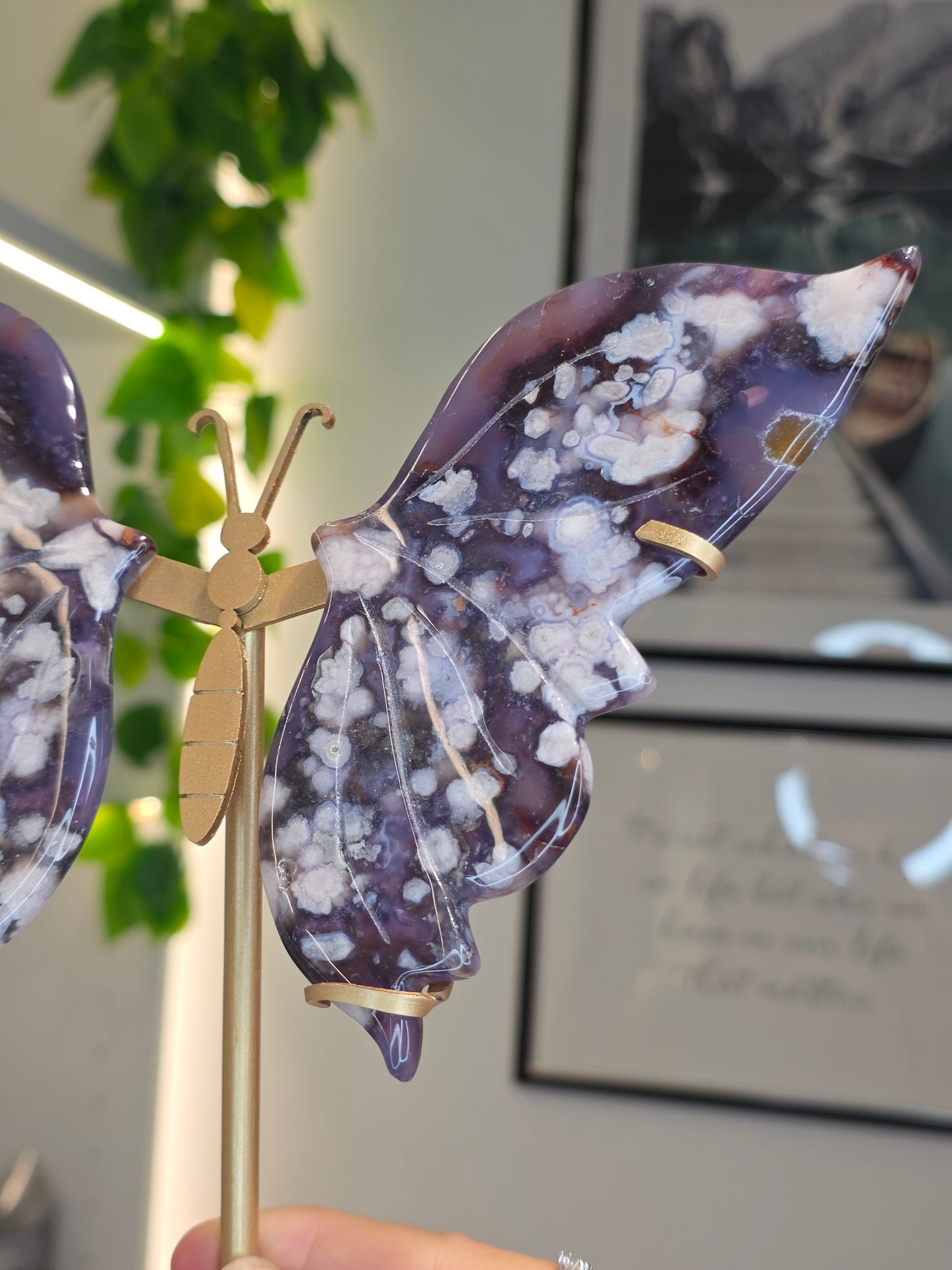 Blue Flower Agate Butterfly Wings on Custom Stand - A