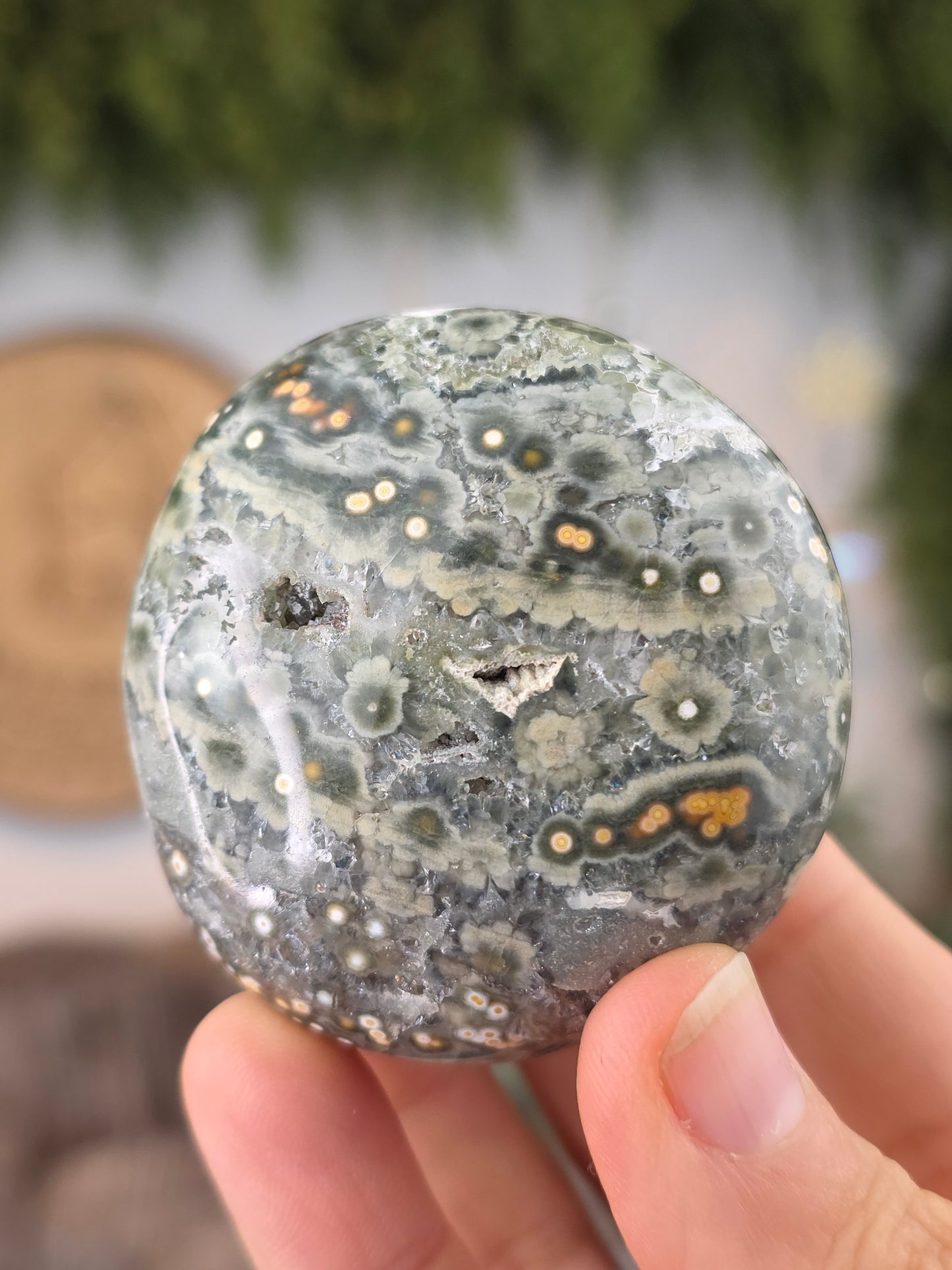 8th Vein Ocean Jasper Palm Stones