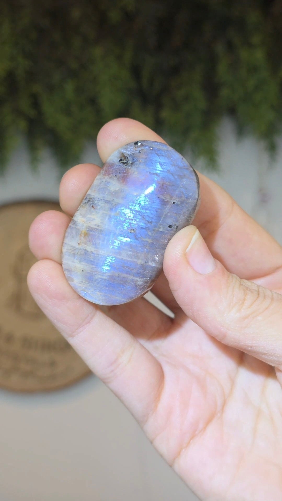 Moonstone with Sunstone Palms