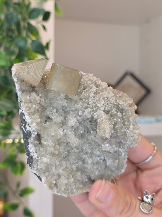 Honey Calcite Cubes on Druzy Sugar Calcite and Stilbite Matrix from Madhya Pradesh, India - T