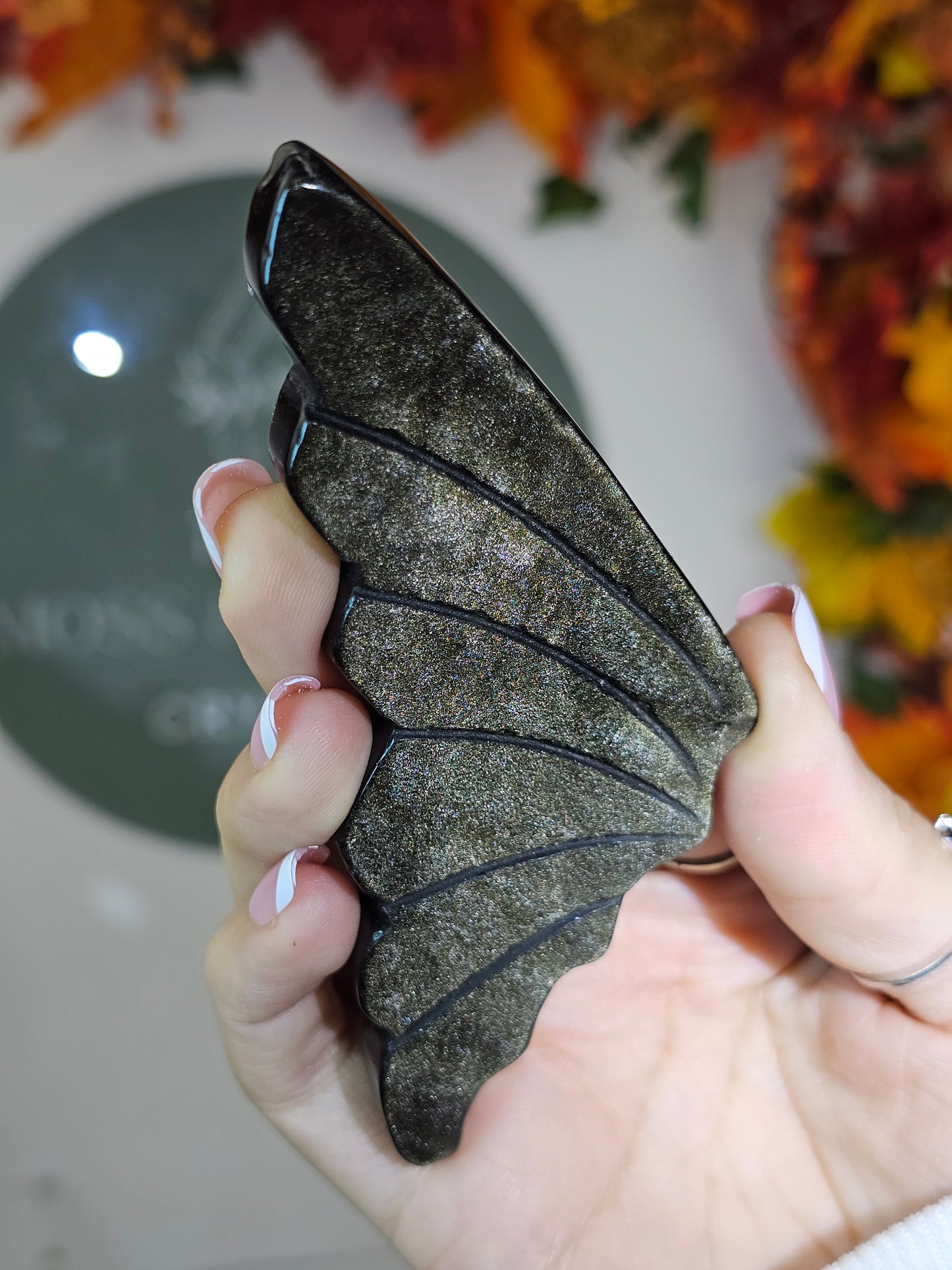 Gold Sheen Obsidian Wings - MAS2515