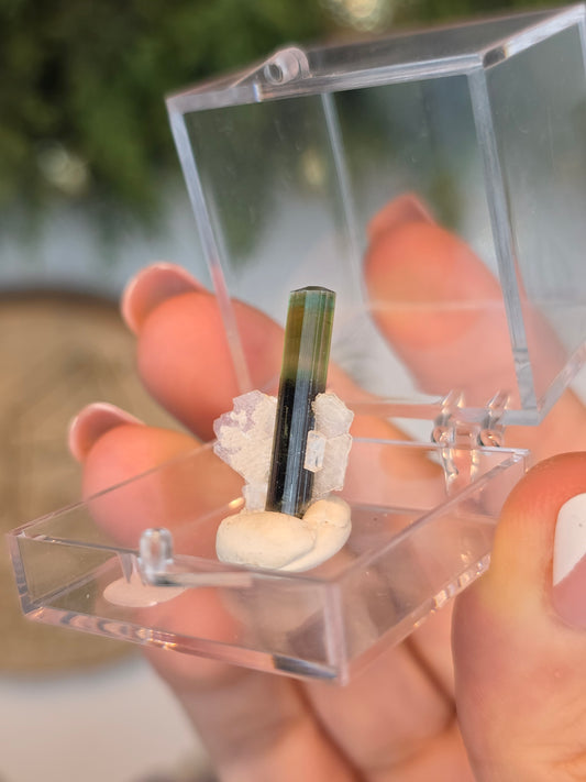 Elongated Prysmatic Green Tourmaline in Albite from Pakistan - MAS6087