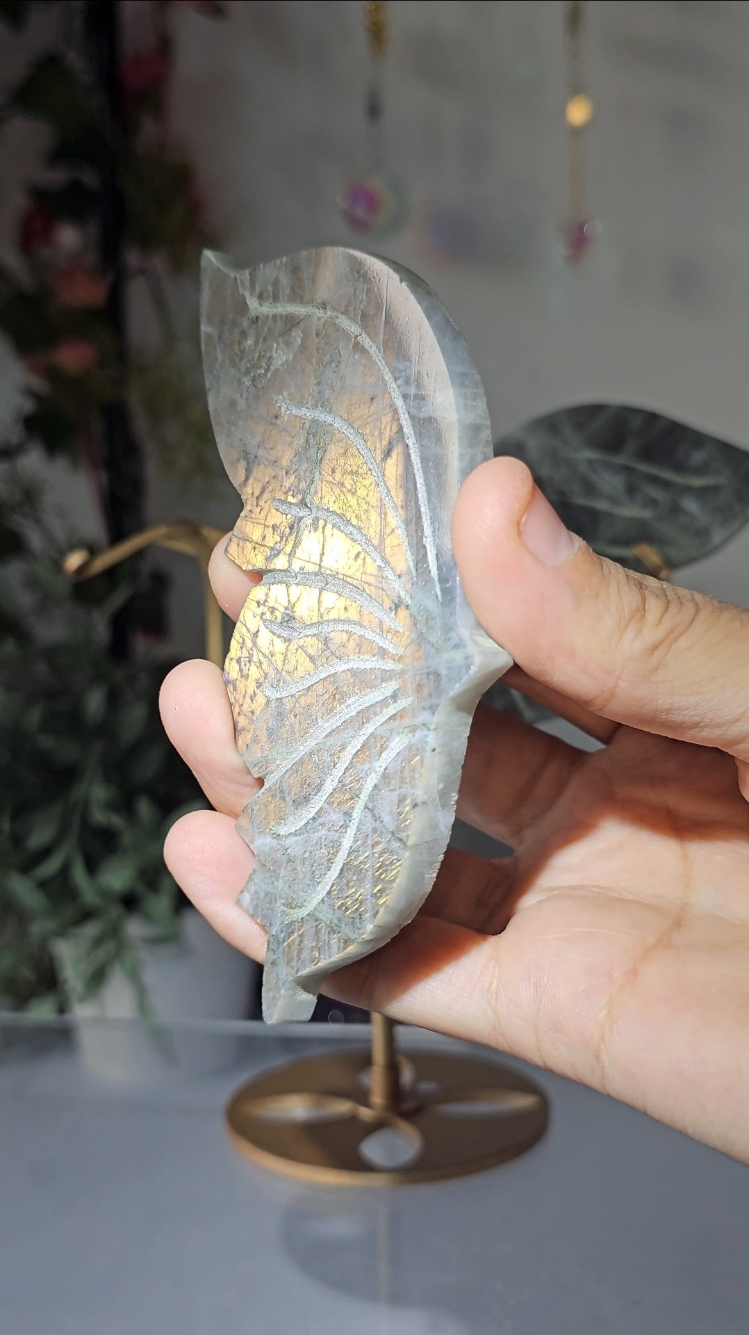 Labradorite Butterfly Wings on Custom Stand - MAS0827