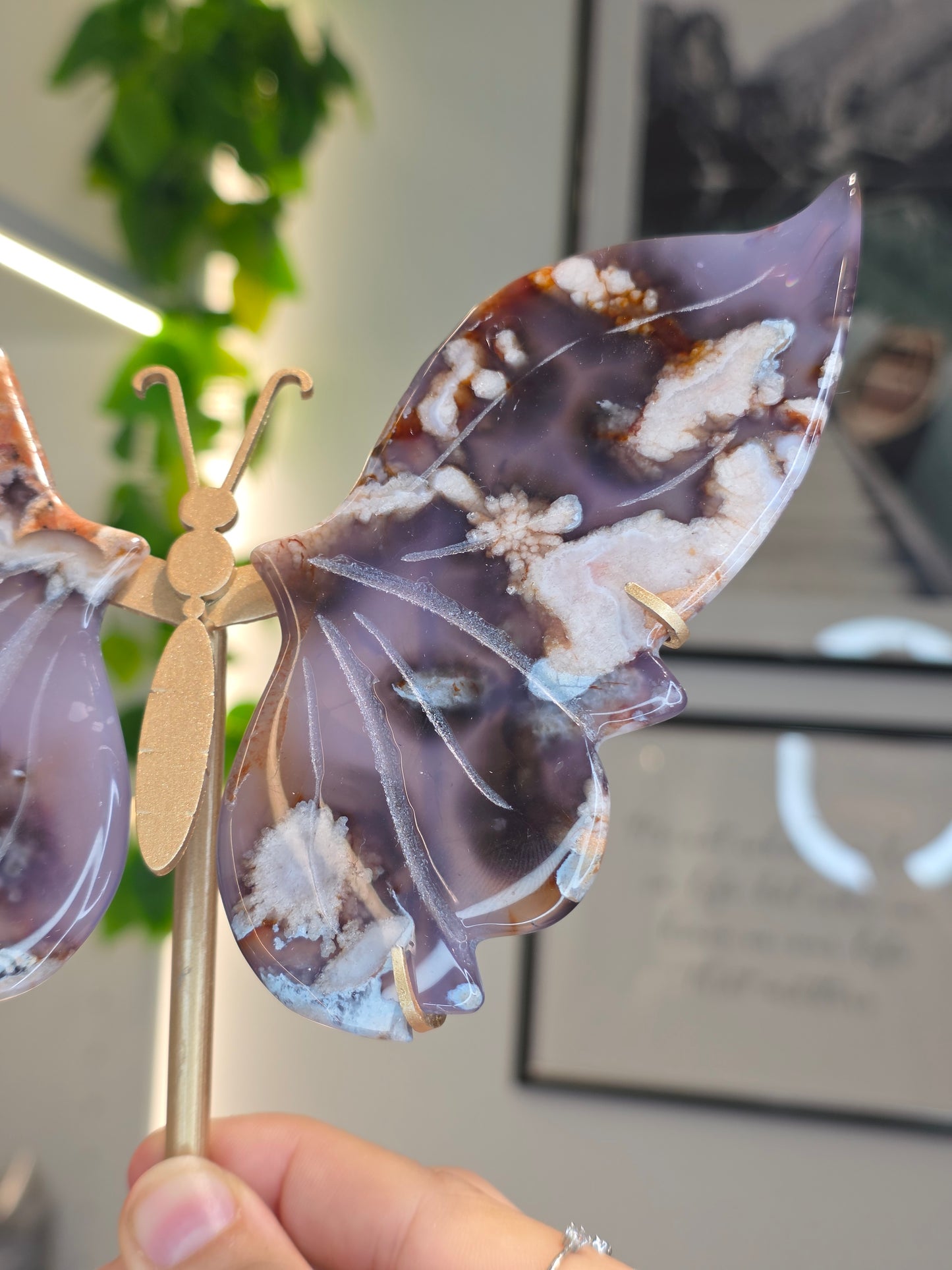 Blue Flower Agate Butterfly Wings on Custom Stand - C