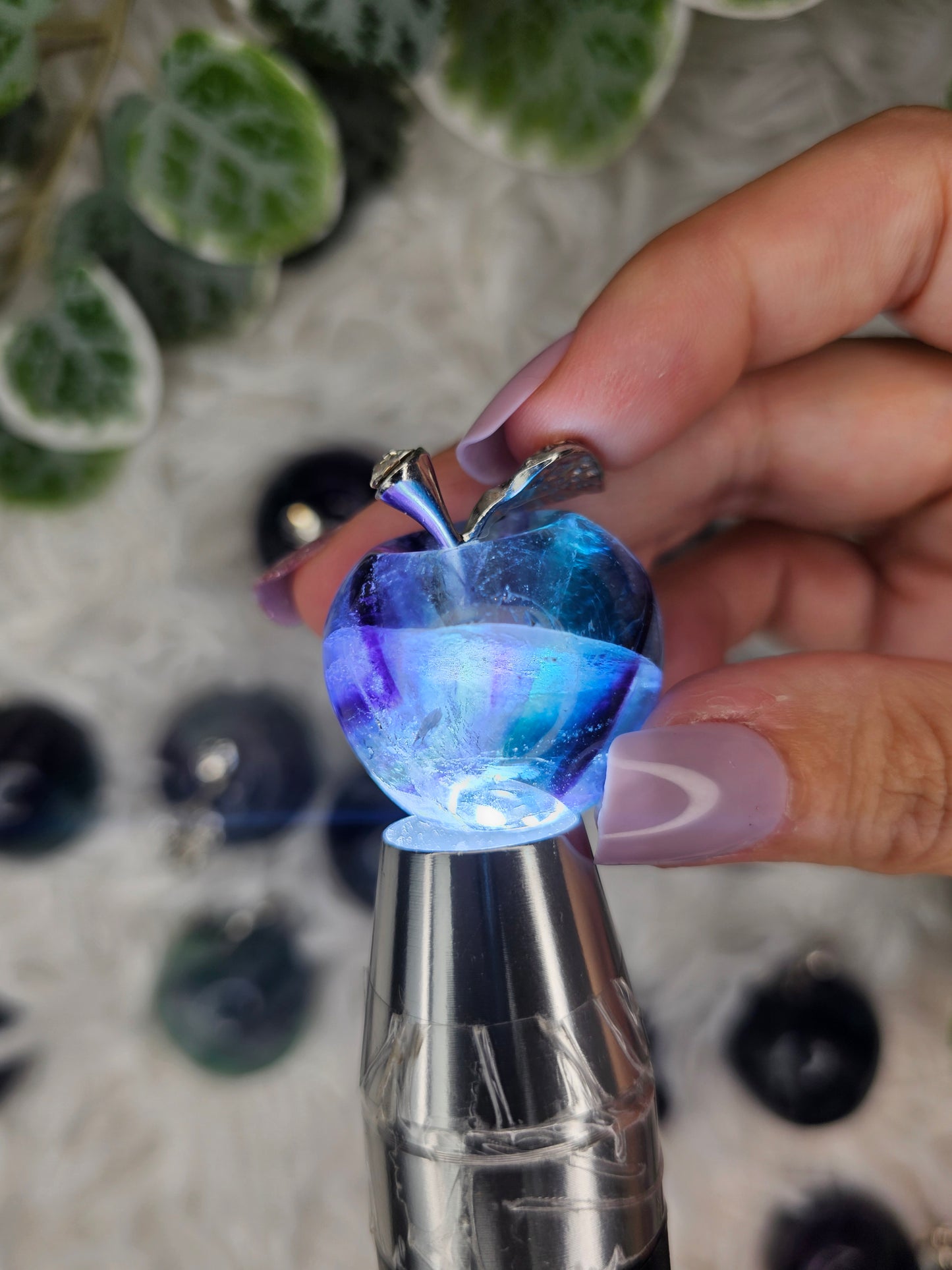 Fluorite Apple - MAS1120