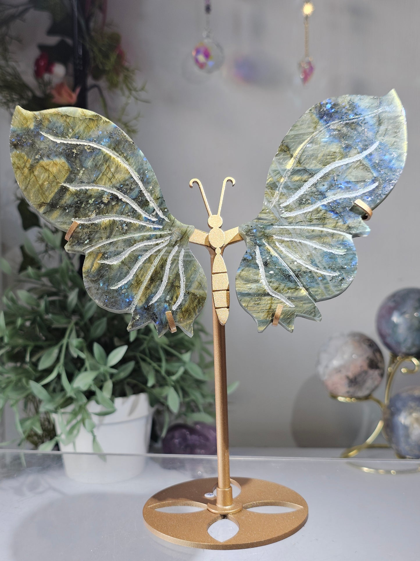 Labradorite Butterfly Wings on Custom Stand - MAS0826
