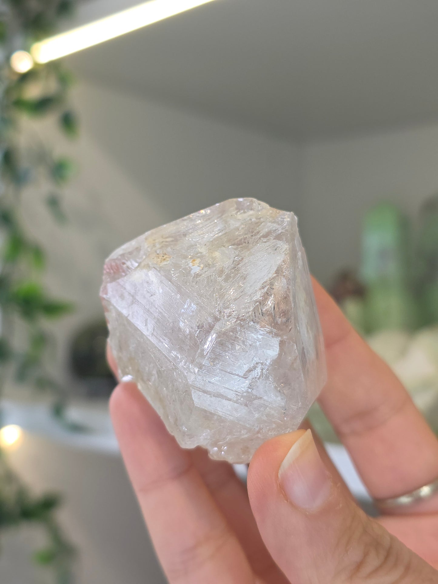 Enhydro Fenster Quartz (Elestial Quartz, Windows Quartz) from Paredon, Coahuila, Mexico