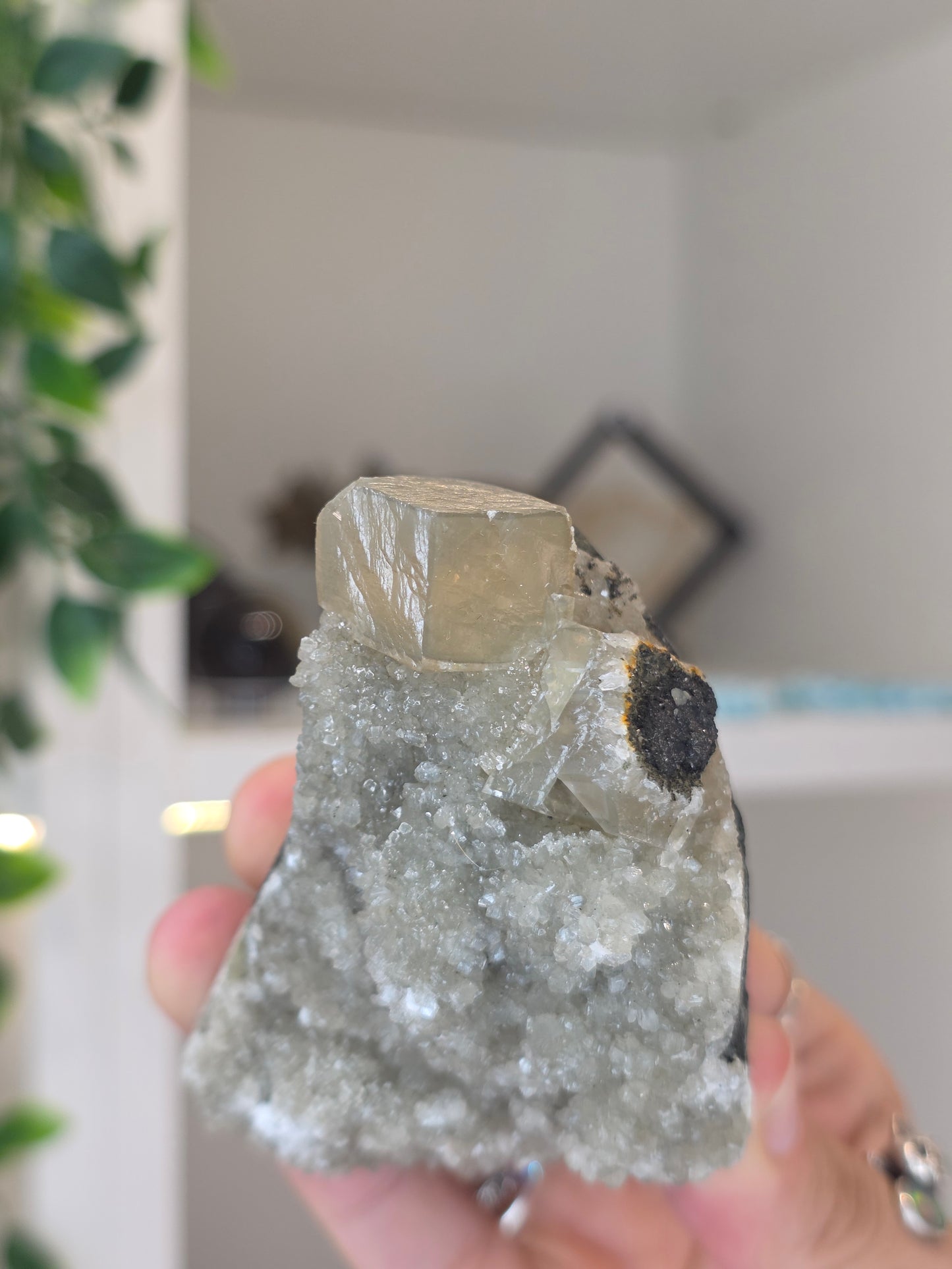 Honey Calcite Cubes on Druzy Sugar Calcite and Stilbite Matrix from Madhya Pradesh, India - U
