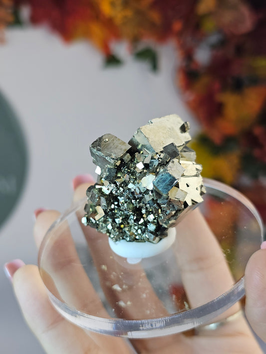 Cubic Pyrite E from the Shang Bao Mine, China - MAS1468