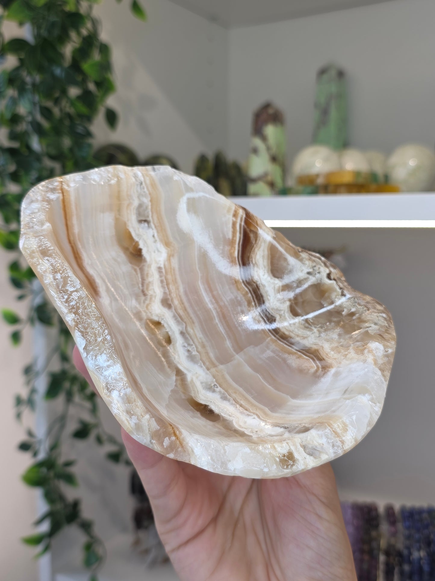 Mexican Onyx Freeform Bowl - Honey Calcite - A