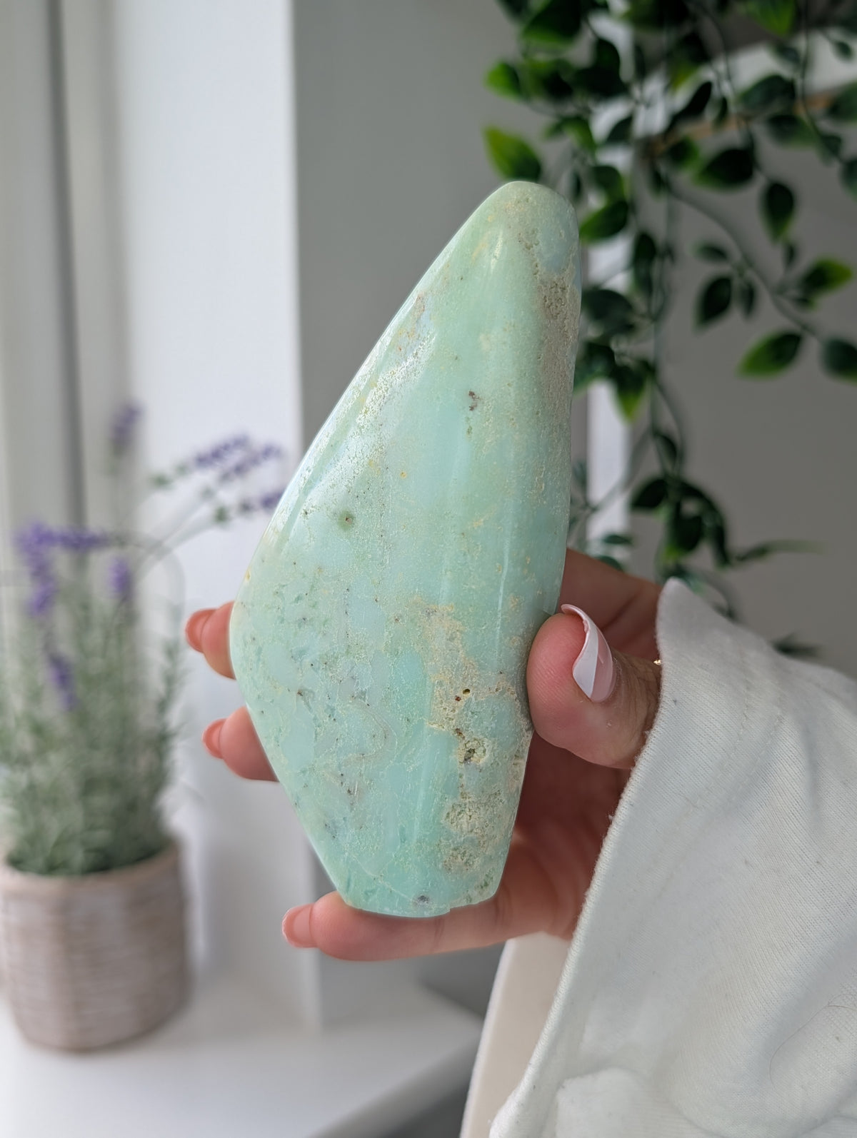 High Grade Indonesian Chrysoprase Freeform