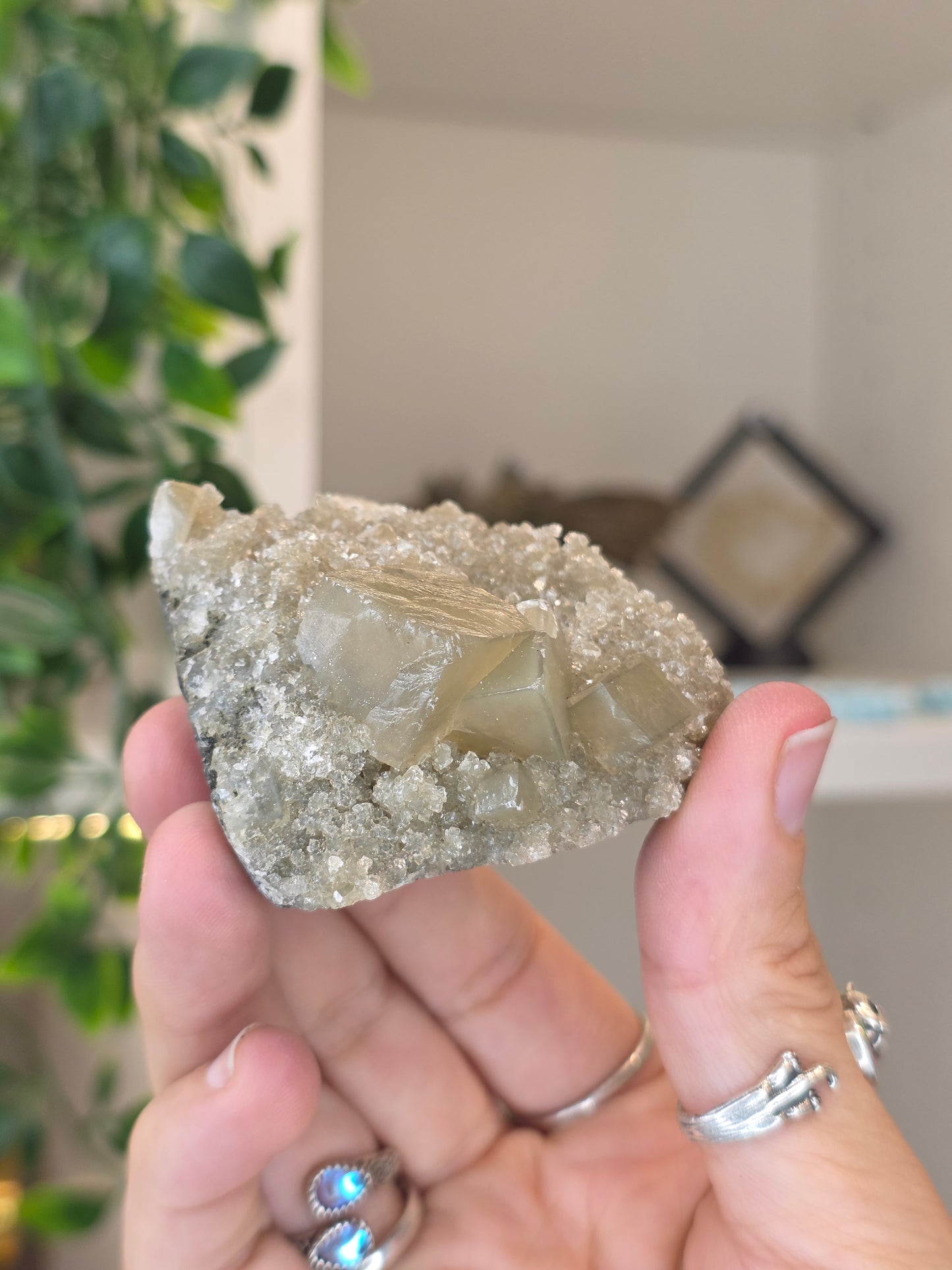 Honey Calcite Cubes on Druzy Sugar Calcite and Stilbite Matrix from Madhya Pradesh, India - J