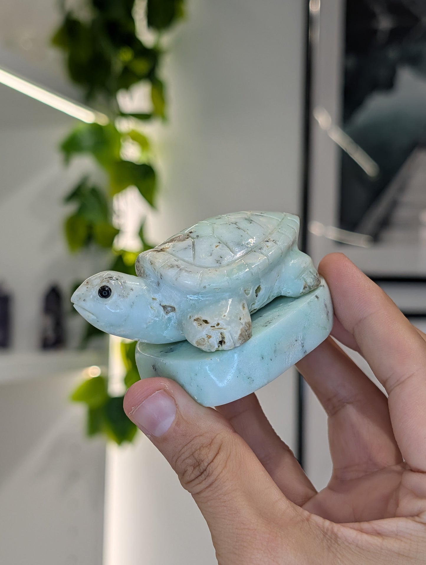 Hand Carved Indonesian Chrysoprase Frogs and Turtles